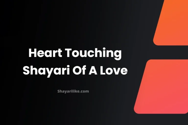 Heart Touching Shayari Of A Love | दिल को छू लेने वाली शायरी