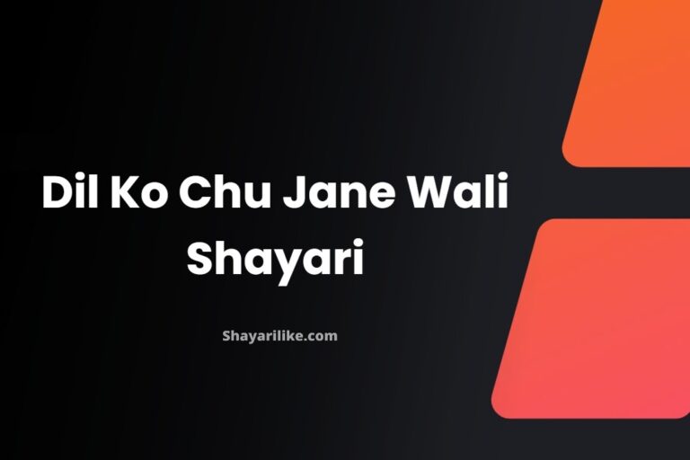 50+ Dil Ko Chu Jane Wali Shayari | दिल को छू जाने वाली शायरी