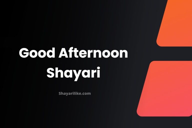 100+ Good Afternoon Shayari | दोपहर की शायरी