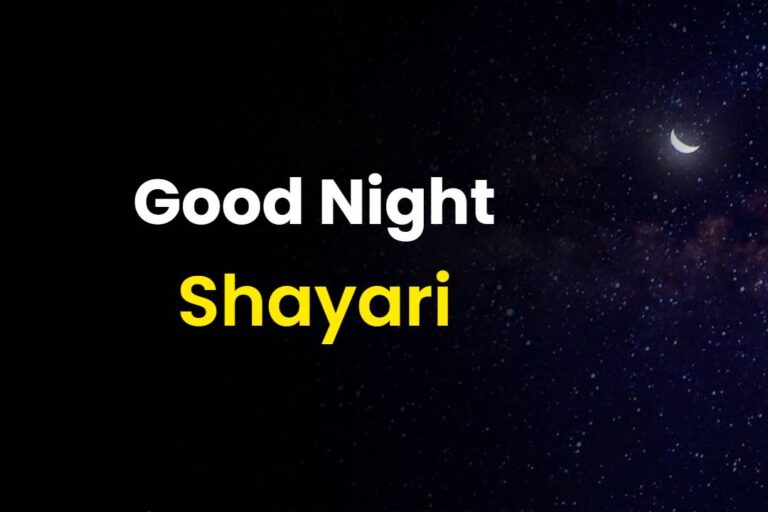 Sweet Good Night Shayari | 50+ गुड नाइट शायरी