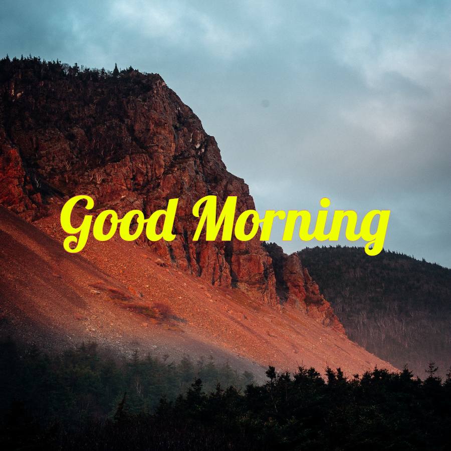 Good Morning Nature Image