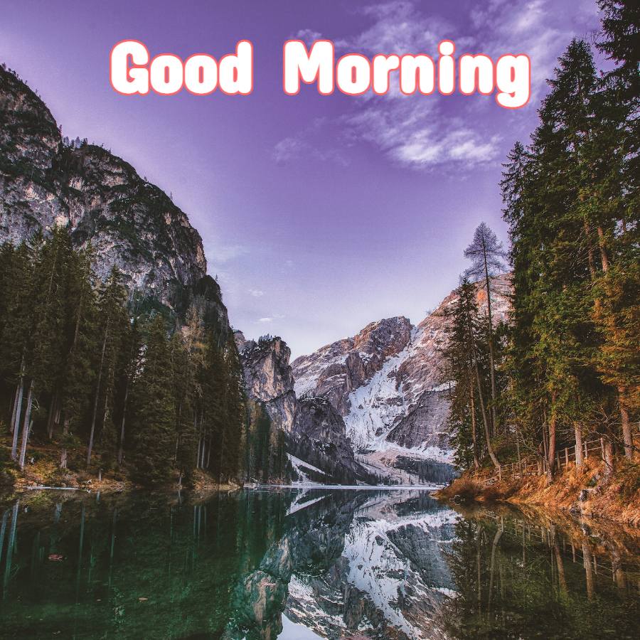 Good Morning Nature Picture