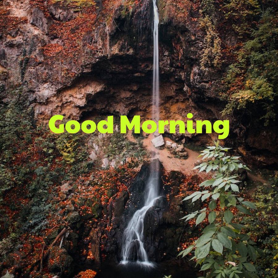 Good Morning Nature Picture