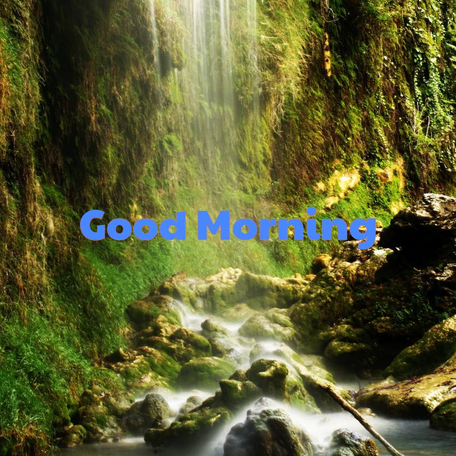 good morning images nature