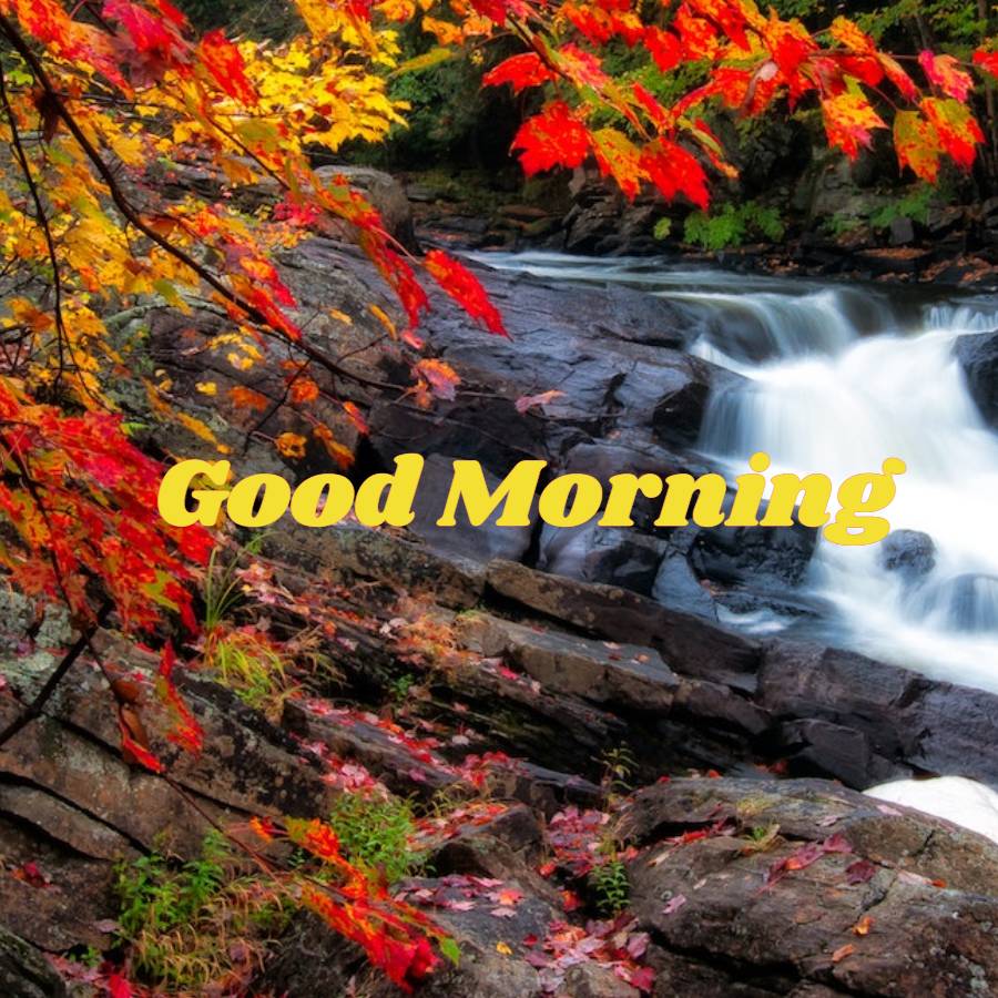 good morning nature images